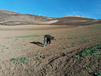 آقای مدیر؛ به دودانگه بیایید، زمین با شما درد دل خواهد کرد!