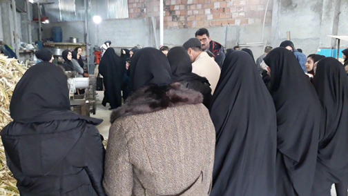 ن مثل نیشکر