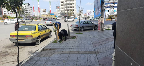 اقدام طبیعتگرایانهی بانوی ساروی