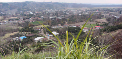 جشنواره توسعه گردشگری روستایی در ریکنده؛ 27 اسفند